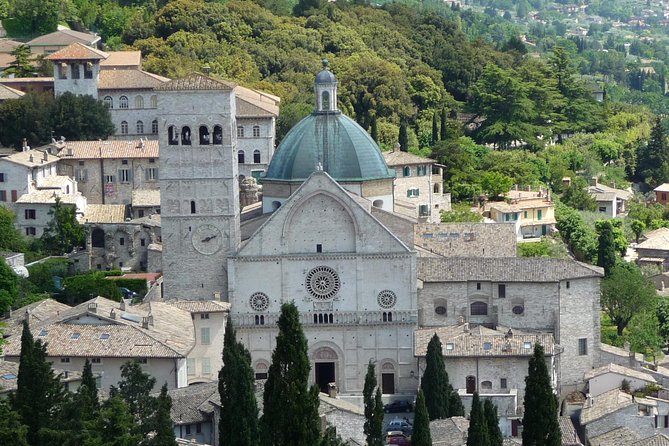 Assisi, Deruta & Organic Gourmet Lunch at the Olive Oil Farmhouse From SIENA - Viator Help Centre Inquiries