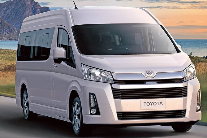 Aswan Airport Private Arrival Transfer - Overview of the Service