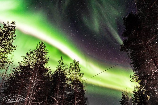 Auroras - Northern Lights Tours by Aurora Experts - Rovaniemi - Good To Know