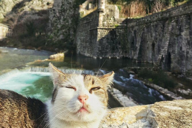 Authentic Kotor Old Town Walking Tour - Medieval History and Stunning Views