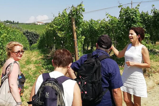 Authentic Piedmont Wine Tour With a Local Sommelier - Good To Know