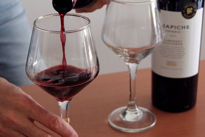 BA: Premium Argentinian Wines and Malbec Tasting in Palermo - Good To Know