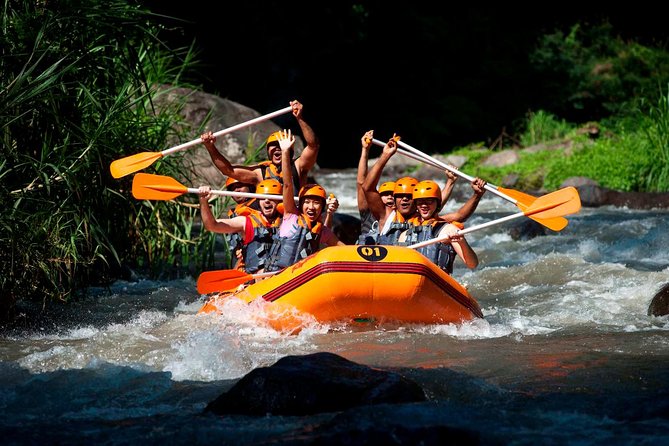 Bali Ayung River White Water Rafting With Transport - Good To Know