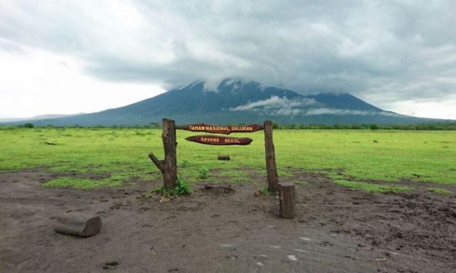 Banyuwangi: Authentic Sunset of Baluran National Park