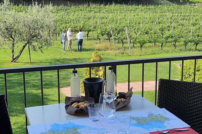 Bardolino: Vineyard Tour, Wine, Oil and Food Tasting - Good To Know