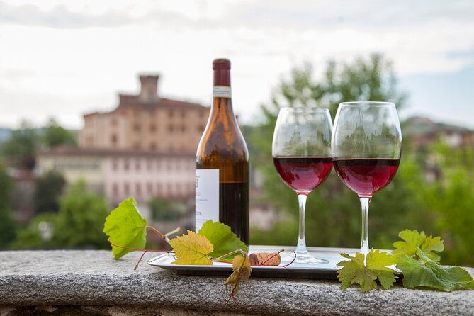 Barolo Wine Tasting, Alba, UNESCO Castle: Small Group From Milan - Group Size and Accessibility