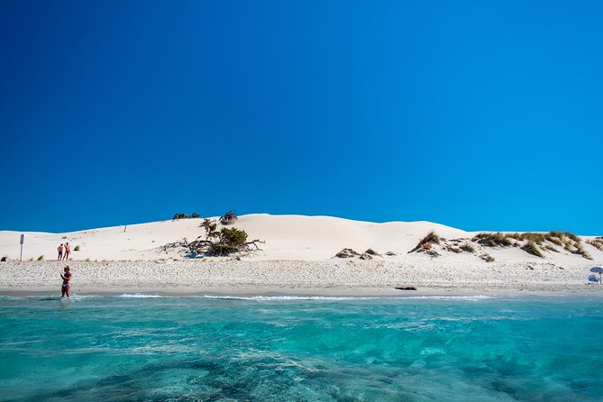 Beach Tour Porto Pino and Piscinnì - Good To Know