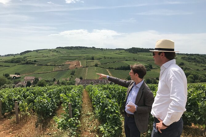 Beaune Small-Group Wine Tasting and Vineyard Tour, Plus Lunch - Good To Know