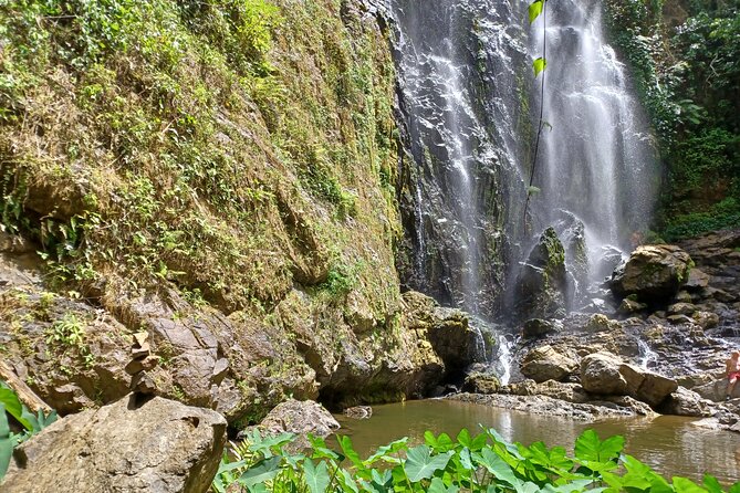 Beautiful Forest Hike to a Gorgeous Waterfall - Key Points