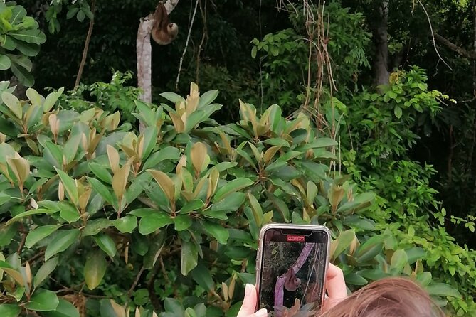 Beautiful Panama Canal Lake Nature Sightseeing - About Your Stay