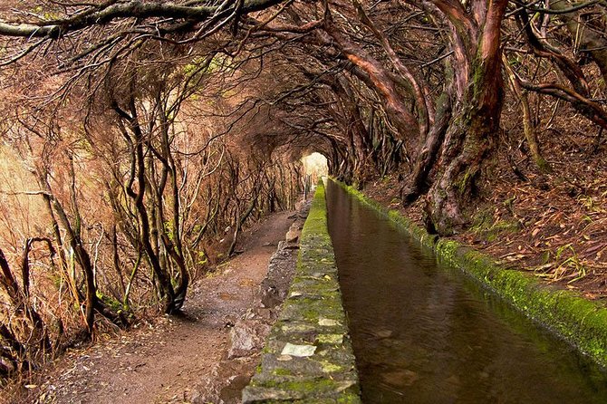 Beautiful Walks in Rabaçal, Madeira - Good To Know