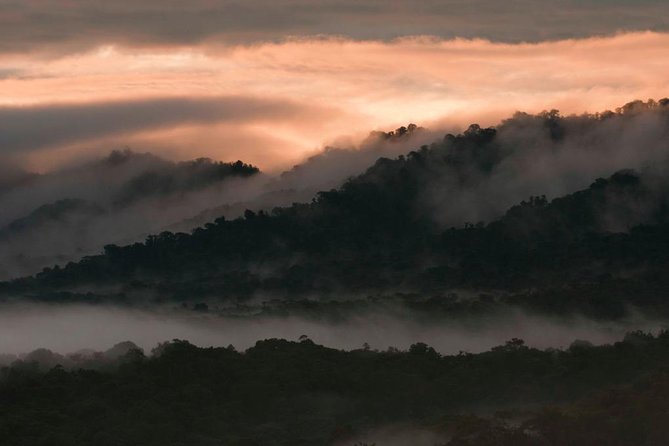 Bellavista Cloud Forest Reserve - Full Day - About Your Stay