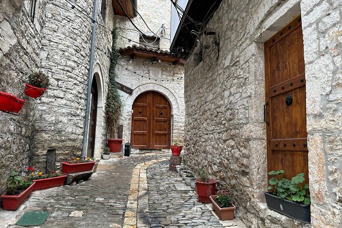 Berat City Tour, the Castle & Belshi Lake- Departure From Tirana - Good To Know