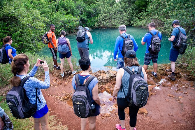 Bermuda Hidden Gems Half-Day Winter Excursion - Good To Know
