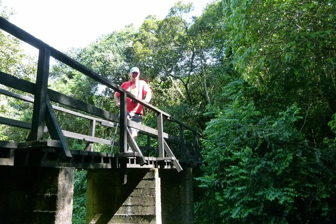 Best Kilimanjaro Hiking Day Trip Tour With Kilinge Adventures - Good To Know