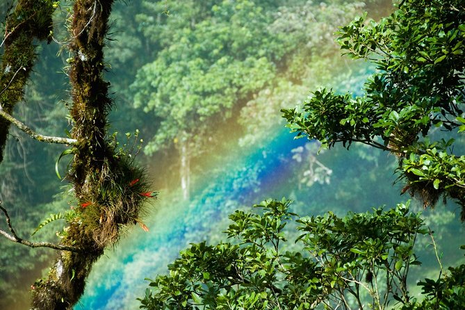 Best of Costa Rica 12D/11N Vacation Package - Explore San José