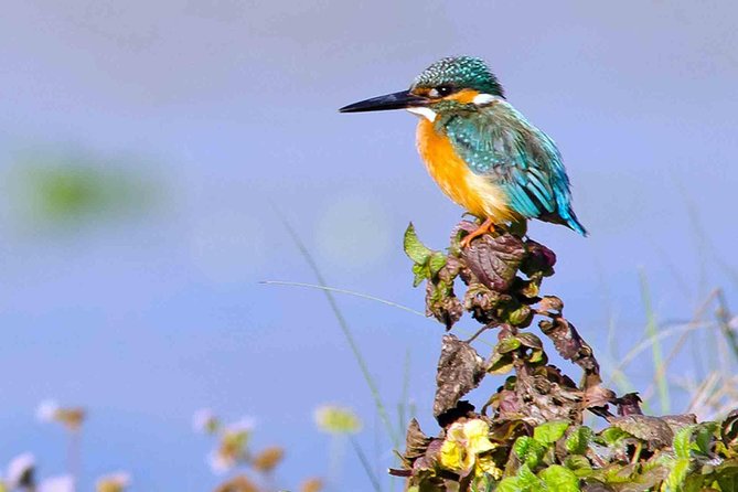 Best of Nepal Luxury Adventure Tour Package - 9 Days - Good To Know