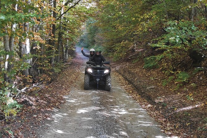 Biogradska Gora National Park Private ATV Adventure  - Podgorica - Key Points