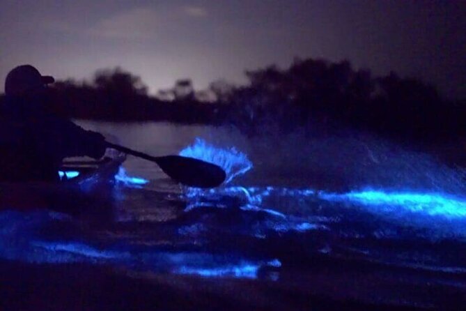 Bioluminecence Night Adventure in Tobago