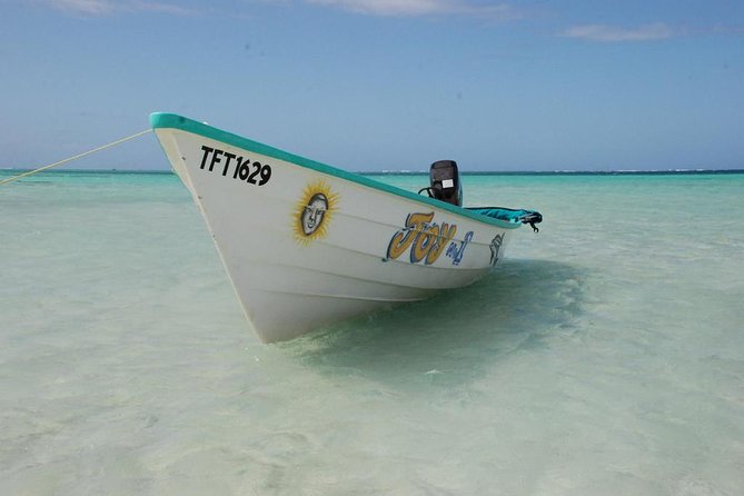 Bird Watching and Waterfall Adventure on the Caribbean Coast - Good To Know