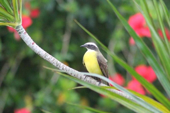 Bird-Watching and Wildlife Tour - About Your Stay