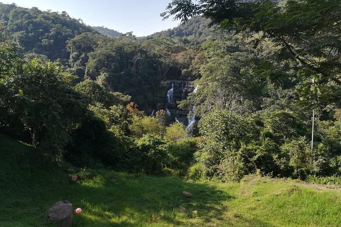 Bird Watching Tour Departing From Bogota. (2 Days) - About Your Stay