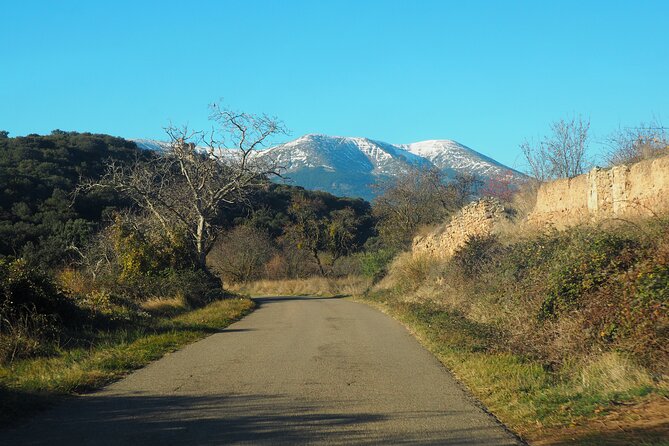 Birding Through the Ebro Valley - Key Points