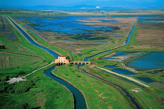 Birdwatching and Photo Tour in Diaccia Botrona - Birdwatching Equipment and Guidance