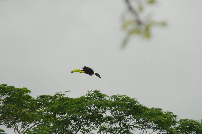 Birdwatching Tour - About Your Stay