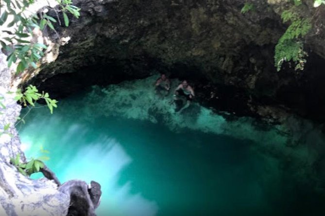 Blue Hole Mineral Spring and Herb Farm Private Tour - Key Points