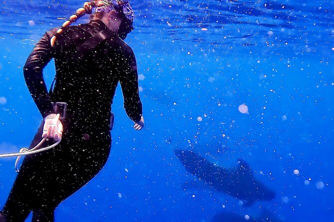 Blue Horizon: Custom Biologist-Led Boat Expedition - Expedition Highlights