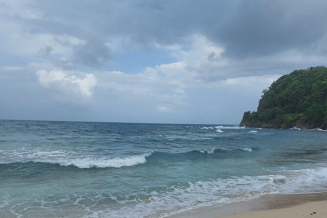 Blue Lagoon and Canoeing Ride Experience Portland Jamaica - Key Points