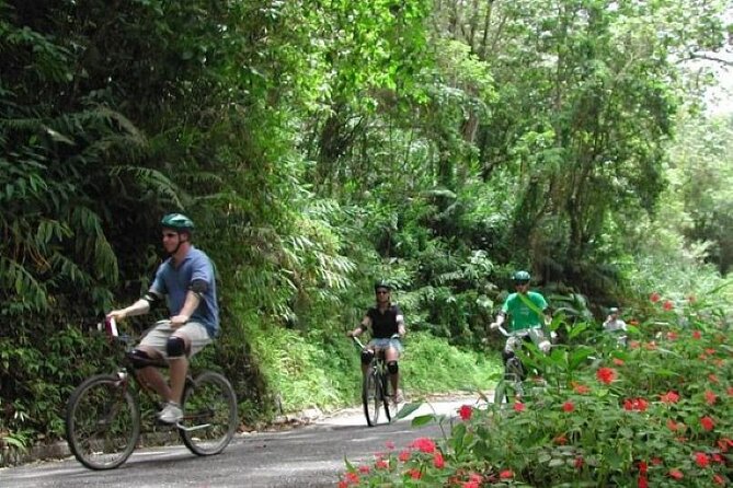 Blue Mountain Bicycle Tour From Runaway Bay - Key Points