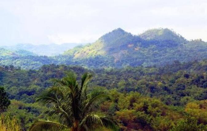 Blue Mountain Peak Hiking Tour From Kingston - Key Points