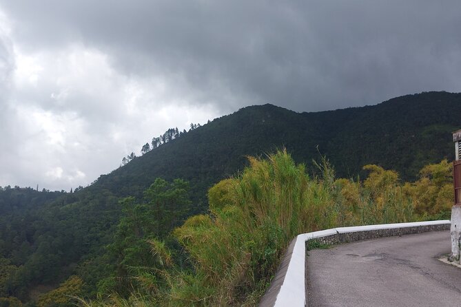 Blue Mountain Sight-Seeing & Nature Trail Hike With Private Guide - Tour Overview