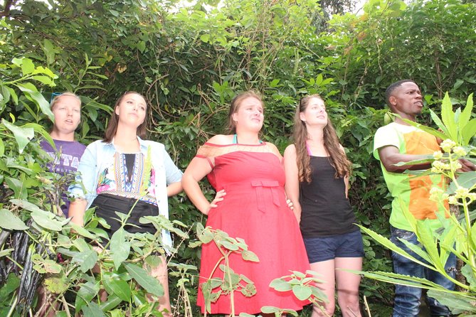 Boat Cruise and Adventures -Karongi - Good To Know