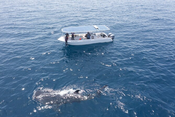 Boat Trip and Snorkeling at Daymaniyat Island - Good To Know