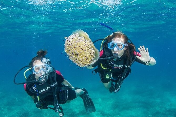 Boat Trip With Guided Snorkeling and Scuba Diving in Chania - Good To Know