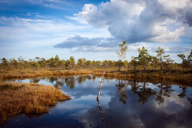 Bogs and Resorts in Jūrmala - Good To Know