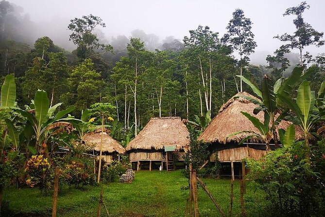 BRIBRI Chocolate Tour & Cahuita National Park From San Jose - Good To Know