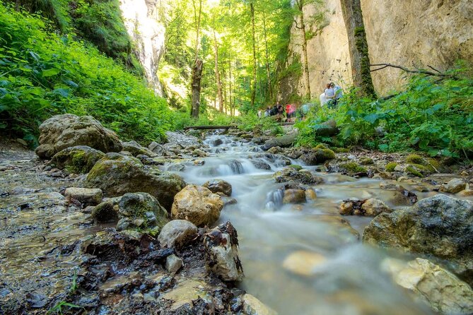 Bucharest Private Canyoning, Hiking, and Ziplining Tour - Tour Overview