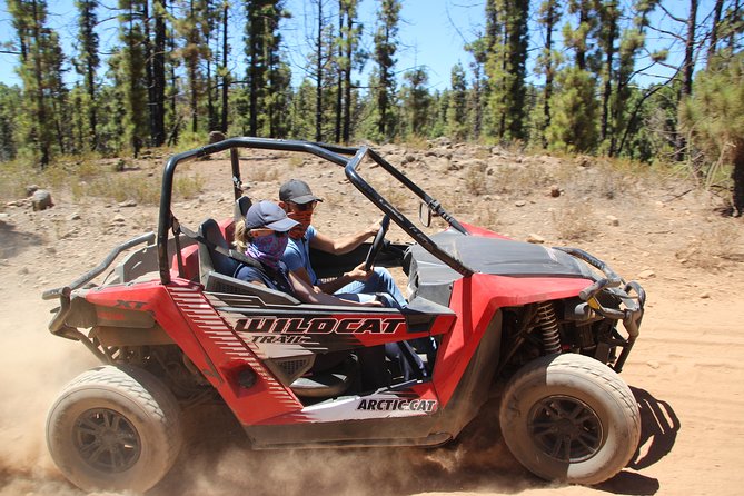 Buggy Safari Teide National Park - Overview of Buggy Safari
