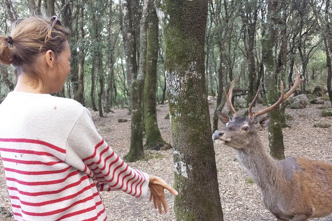 Cagliari: Is Cannoneris Nature Reserve Jeep and Walking Private Tour From Chia - Good To Know