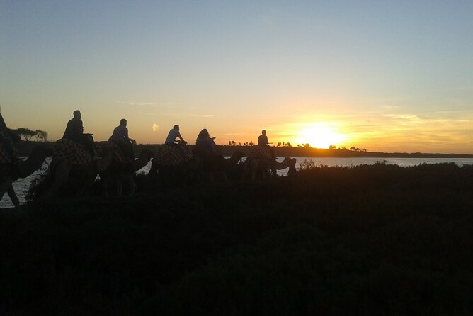 Camel Barbecue Sunset Agadir City - Good To Know
