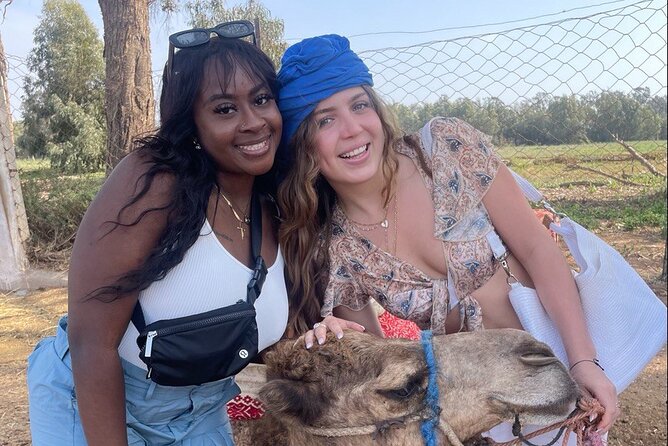 Camel Ride in Agadir at Sunset With Dinner (Bbq) - Good To Know