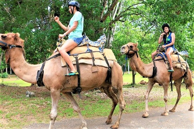 Camel Riding Outback Adventure Tour From Ocho Rios - Key Points