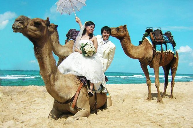 Camel Safari 30 Minutes in White Sand Beach - Good To Know