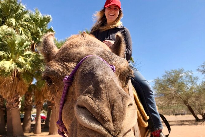 Camel Safari - Camel Ride and Zoo Tour - Good To Know