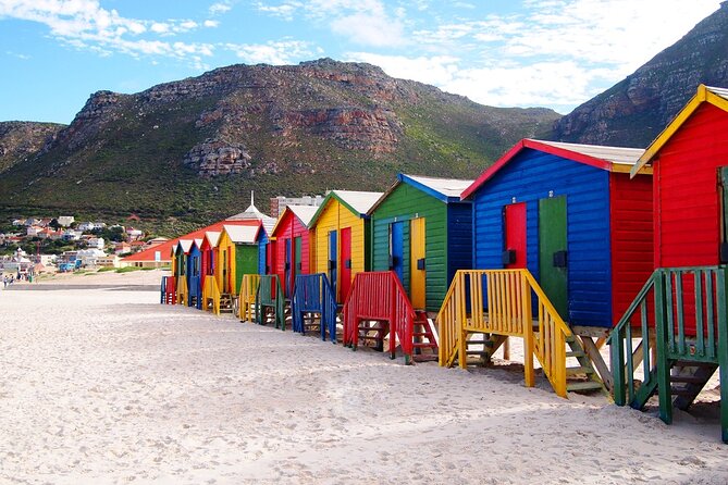 Cape Point ,Cape of Good Hope and Table Mountain Tour . - Key Points