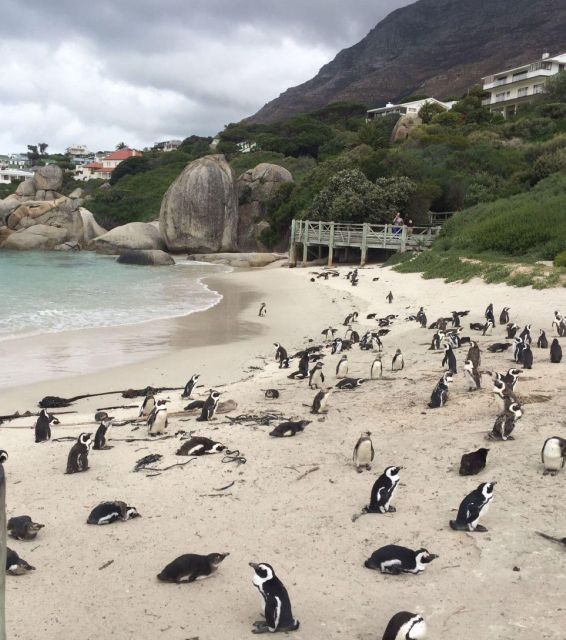 Cape Town: Relaxing Day Tour Around Cape Peninsula